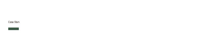 Casa Stan logo